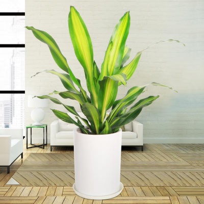 无锡金心螺纹铁