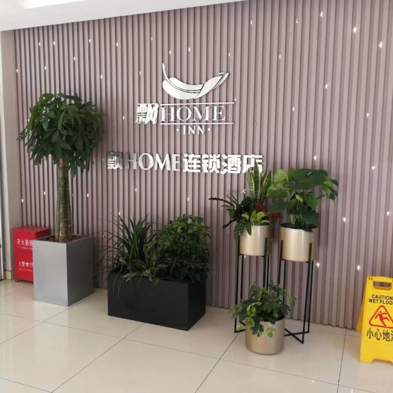 无锡发财树组合