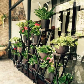 无锡花架组合